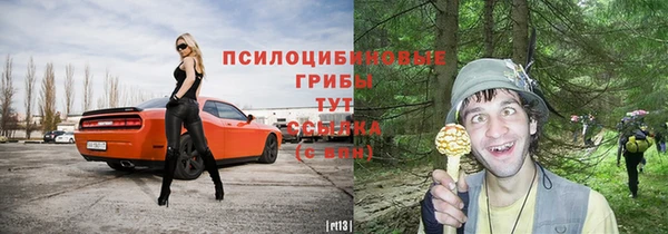 дмт Надым