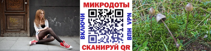 Псилоцибиновые грибы Psilocybine cubensis  дарк нет Telegram  Ирбит  как найти наркотики 