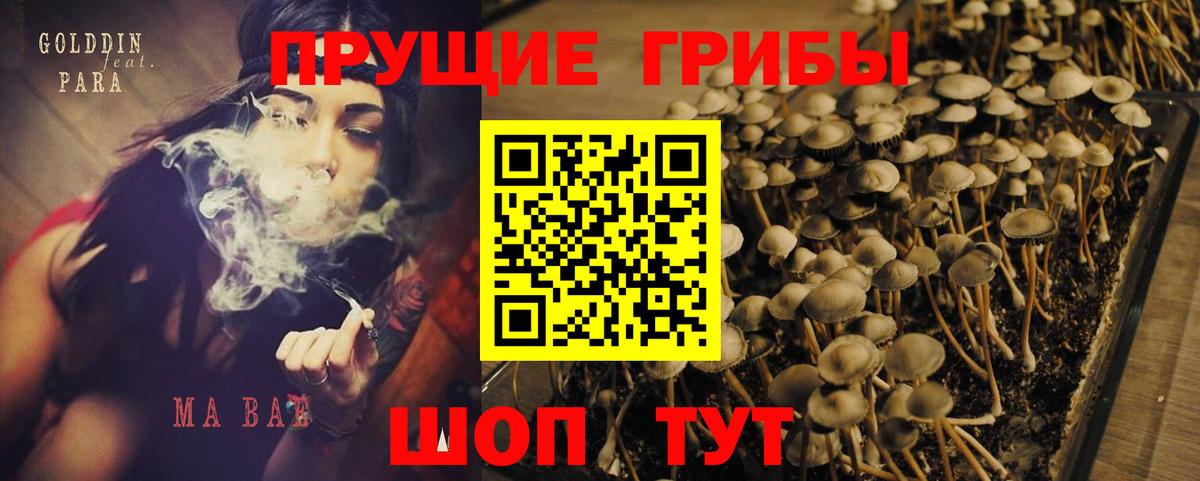 Псилоцибиновые грибы Cubensis  Вход с VPN  хочу   Ирбит 